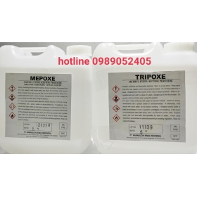 Hệ Đóng Rắn MEKPO